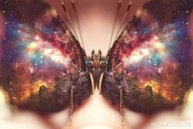butterfly universe