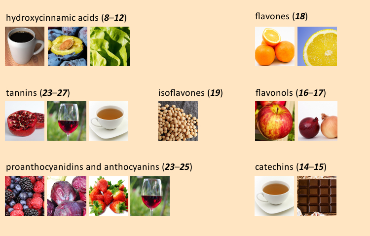 Различные полифенолы в продуктах питания