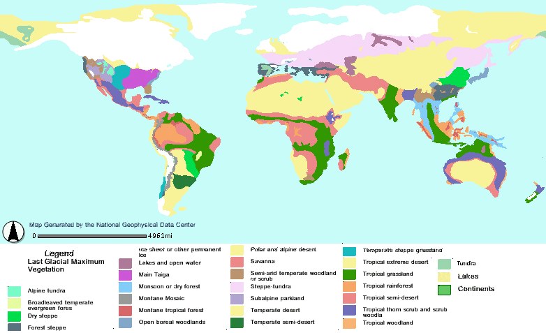 Карта земных ландшафтов 16 000 лет назад, в ледниковый период / Желтым показаны тропические и арктические пустыни. Хорошо видно, что лесов всех типов на планете было очень мало ©Wikimedia Commons